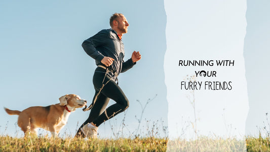 Running with Your Furry Friends